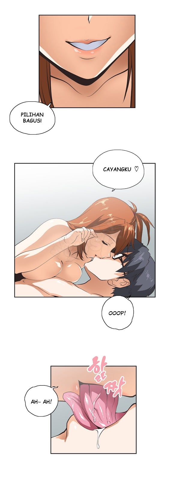 SStudy - Chapter 15 5
